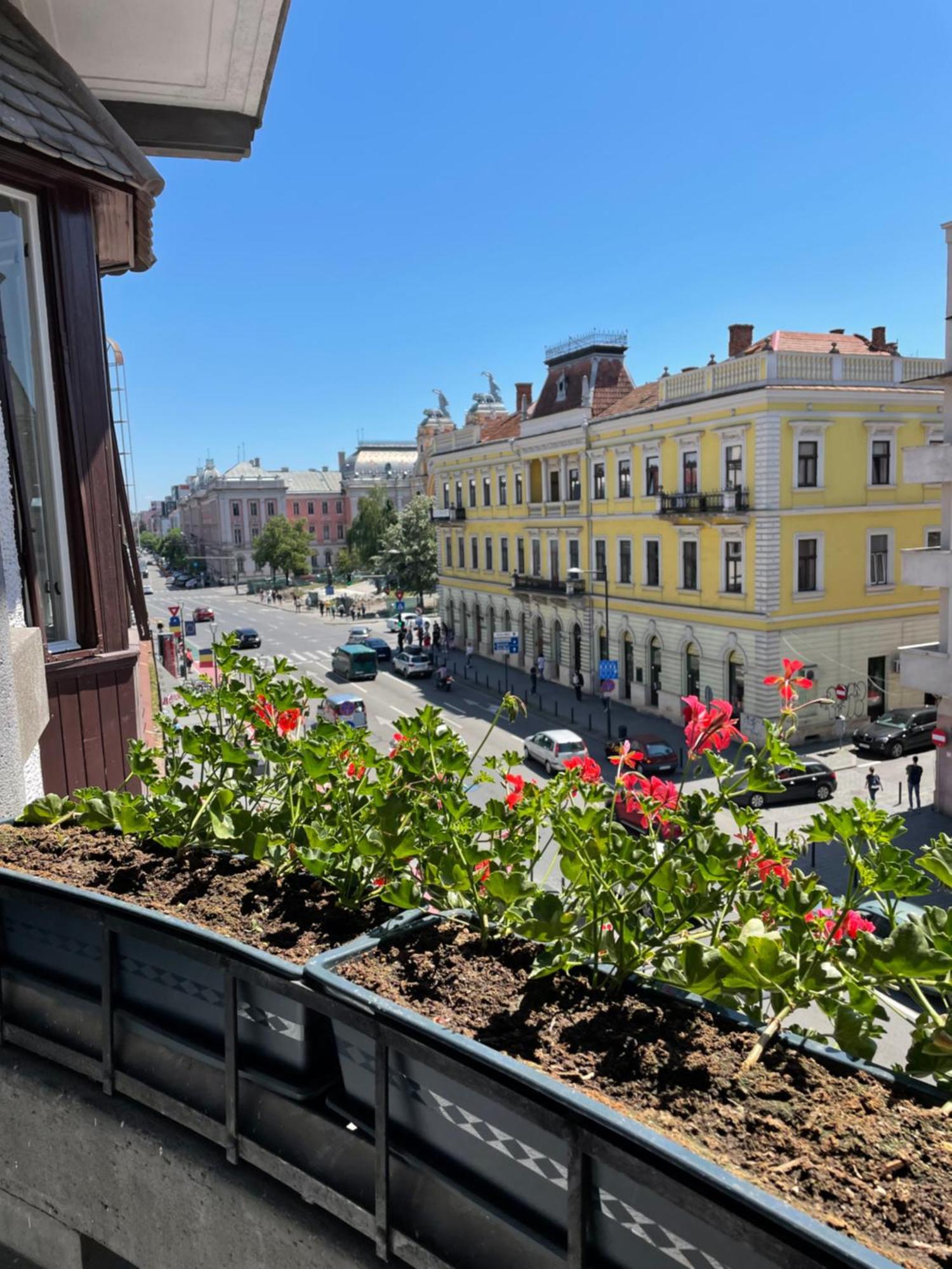Littleparis Apartment Клуж-Напока Екстериор снимка